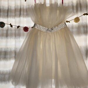NWT Betsey Johnson Tulle Dress